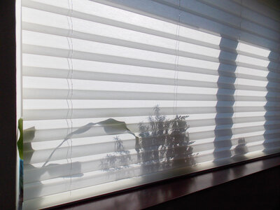 White honeycomb cellular shades filtering natural light in a bedroom,